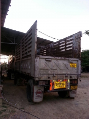 หางพ่วง สามมิตร สวยๆ