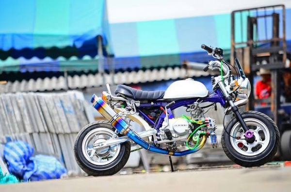 มังกี้แต่งๆๆ กอลิล่า แต่ง ลดราคาทุกรุ่น ต้อนรับปีใหม่ ด่วนๆๆ ลดๆๆ