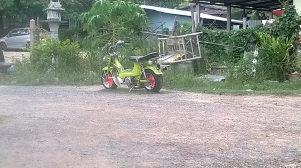 ขายชาลีสวยๆมีเล่ม