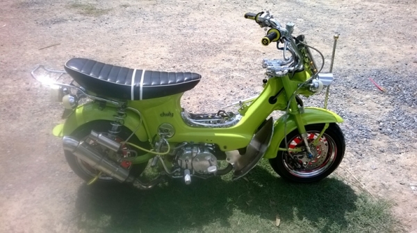 ขายชาลีสวยๆมีเล่ม