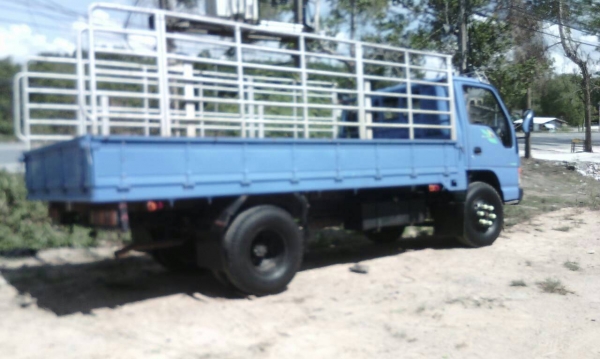 รถอีซูซุ 6 ล้อ รั้ว NPR  120 แรงม้า. ปี 49    สนใจติดต่อ  081 - 6079515