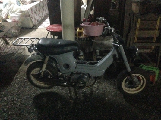 ขายชาลีตามสภาพครับ ขายชาลีตามสภาพครับ