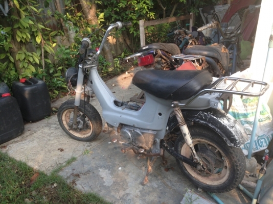 ขายชาลีตามสภาพครับ ขายชาลีตามสภาพครับ