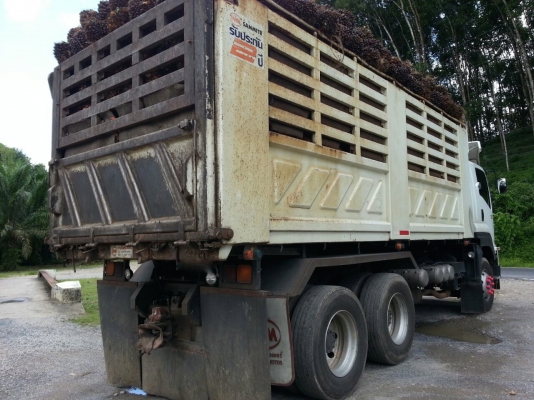 รถอีซูซุ 10 ล้อดั้ม FXZ 360 แรงม้า ปี 54.  ( รถวิ่ง 2xx,xxx กว่า กม. )     สนใจติดต่อ   081 - 6079515