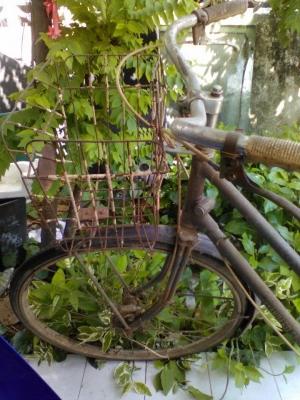 ขออนุญาติขายจักรยานคาสสลิก สภาพยังไม่ได้ล้าง ขี้ได้ราคาถูก ขออนุญาติขายจักรยานคาสสลิก สภาพยังไม่ได้ล้าง ขี้ได้ราคาถูก