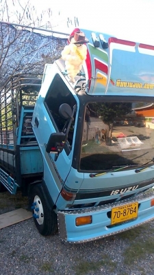 ขายด่วน Isuzu NKR 110 ใช้งานดีเยี่ยม