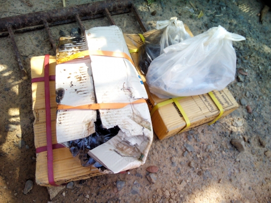 โลตารี่วิเชียร