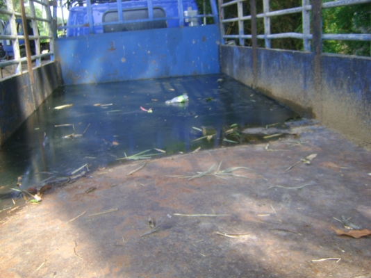 ่่110 แรง  ทะเบียนขาด 2 ปี  ขายตามสภาพ  ราคา  285,000  บาท