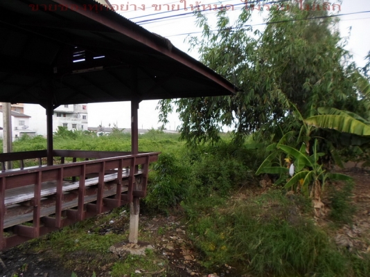 @@@ ขายที่ ติดถนนใหญ่ (ประชาสำราญ) หนองจอก กทม. @@@ @@@ ขายที่ ติดถนนใหญ่ (ประชาสำราญ) หนองจอก กทม. @@@