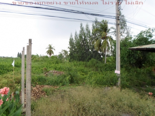 @@@ ขายที่ ติดถนนใหญ่ (ประชาสำราญ) หนองจอก กทม. @@@ @@@ ขายที่ ติดถนนใหญ่ (ประชาสำราญ) หนองจอก กทม. @@@