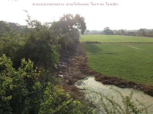 ขายที่ดินเปล่า (ไร่หญ้า กีบหมู) 3ไร่ มีนบุรี กทม. ขายที่ดินเปล่า (ไร่หญ้า กีบหมู) 3ไร่ มีนบุรี กทม.