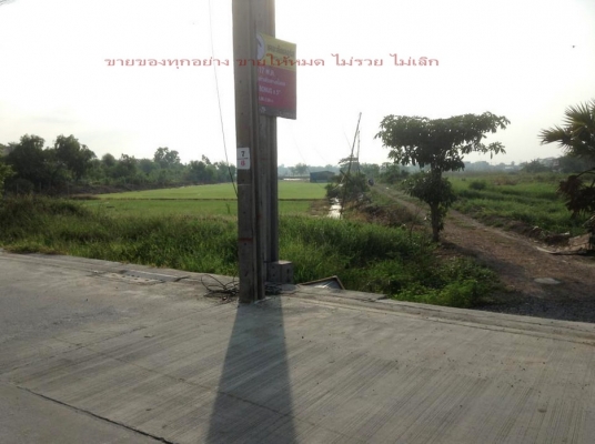 ขายที่ดินเปล่า (ไร่หญ้า กีบหมู) 3ไร่ มีนบุรี กทม. ขายที่ดินเปล่า (ไร่หญ้า กีบหมู) 3ไร่ มีนบุรี กทม.