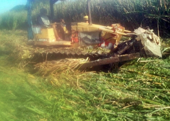 MITSUBISHI BD2G MITSUBISHI BD2G