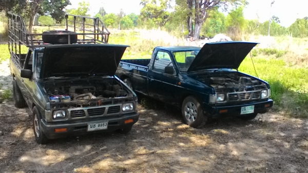 -ขายแพ็คคู่