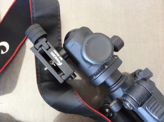 ขายกล้องถ่ายรูป canon EOS 450D พร้อมอุปกรณ์หลายอย่าง ขายกล้องถ่ายรูป canon EOS 450D พร้อมอุปกรณ์หลายอย่าง