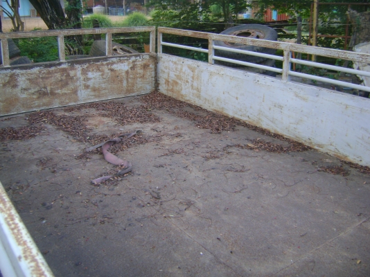 อีชูชุ  85 แรง ( ทะเบียนขาด 1 ปี ) ราคา  125,000  บาท