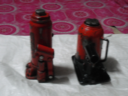 ขายเหมาแม่แรง2ตัว1300