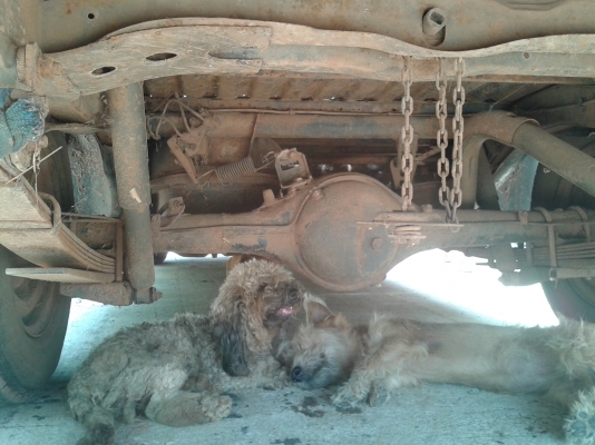 ขาย มิตซูบบิชิ l200 เครื่องเทอร์โบ ลงเล่มแล้ว แซสซีสวย