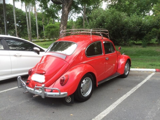 เต่า 1967 ตาตั้ง 270,000