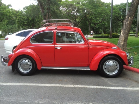 เต่า 1967 ตาตั้ง 270,000