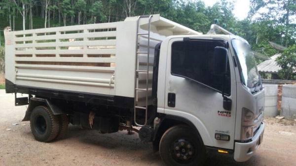 รถอีซุซุ 6 ล้อดั้ม NPR 150 แรงม้า ปี 51.   ( รถวิ่ง 8x,xxx กว่า กม. )     สนใจติดต่อ  081 - 6079515