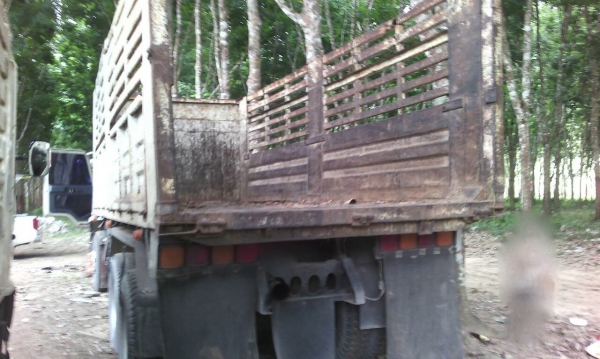 รถอีซูซุ 10 ล้อดั้ม FXZ  240 แรงม้า.  ( *  ขาวตัวสุดท้าย. )    สนใจติดต่อ  081 - 6079515