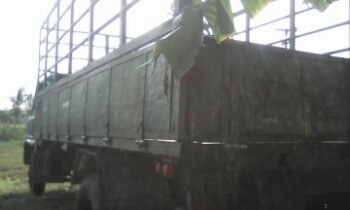 ขายรถบรรทุก 6 ล้อกลาง Hino ขายรถบรรทุก 6 ล้อกลาง Hino