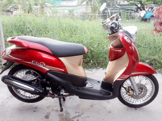 ขายฟีโน่ คลาสสิคสวยๆ