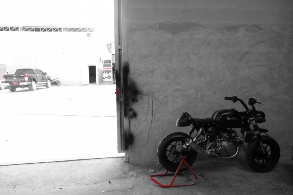 มังกี้แต่งๆๆ กอลิล่า แต่ง ลดราคาทุกรุ่น ต้อนรับปีใหม่ ด่วนๆๆ ลดๆๆ