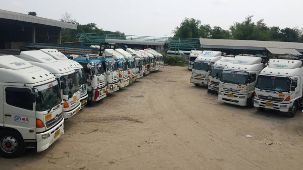 ** จำหน่าย ** ปูนซีเมนต์ผงตรา นกเพชร ช้าง ดอกบัว(ภูเขา) และ ขี้เถ้าแม่เมาะ(Fly ash)