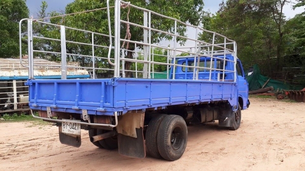 ขาย6ล้อ isuzu 100แรงฝาดำ4bc2 แชชซีสวยเครื่องดี ทะเบียนพร้อมโอน พร้อมคอกเสริมข้าง พื้นเหล็ก สภาพพร้อมใช้งาน