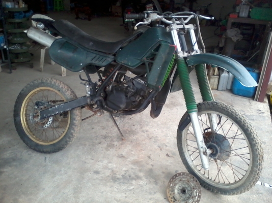 ขายmtx มีเล่มทะเบียนแท้ มีของแถมหลายอย่าง