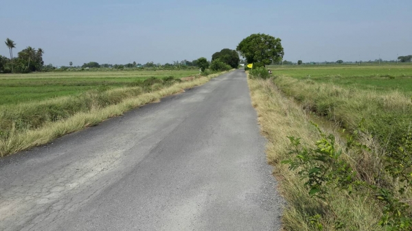 ที่ดิน สวยๆ ติดถนนดำ ติดคลอง น้ำไม่ท่วม 9 ไร่ ไร่ละ 350,000