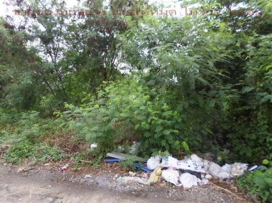 ทำเล ทำ บ้านจัดสรร ติดถนน นิมิตรใหม่ มีนบุรี กทม. ทำเล ทำ บ้านจัดสรร ติดถนน นิมิตรใหม่ มีนบุรี กทม.