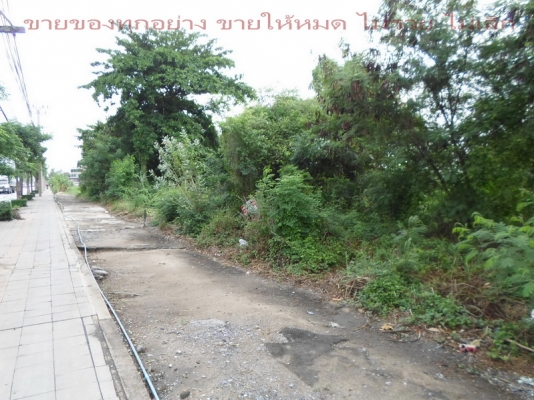 ทำเล ทำ บ้านจัดสรร ติดถนน นิมิตรใหม่ มีนบุรี กทม. ทำเล ทำ บ้านจัดสรร ติดถนน นิมิตรใหม่ มีนบุรี กทม.