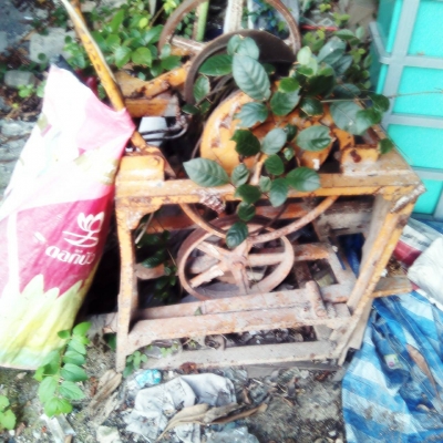 ขายออฟฟิตน๊อคดาว์พร้อมอุปกรณ์ก่อสร้างบางอย่างและบ้านพักคนงาน95000