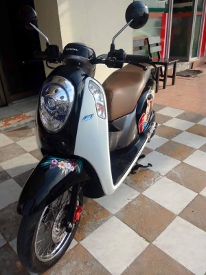 All New Scoopy i ปี 2556 ลายใหม่ Monkey DO รถสวยวิ๊ง ขับดีมากๆ เป็นรุ่นใหม่ล่าสุด