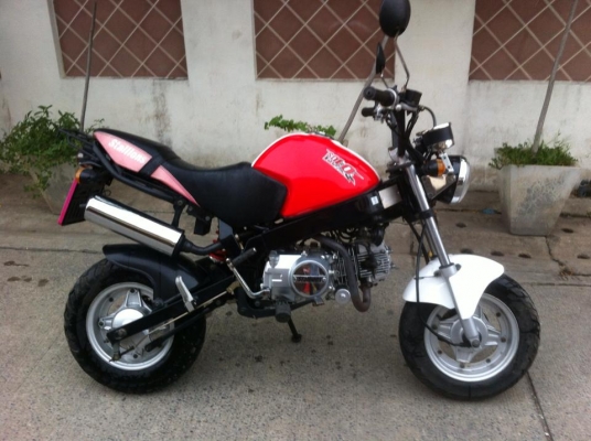 Stallion Mini Solo 125 cc สวย วิ่งน้อย ดีไซน์สวย