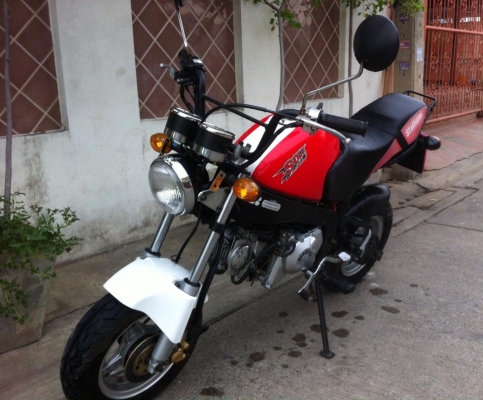Stallion Mini Solo 125 cc สวย วิ่งน้อย ดีไซน์สวย