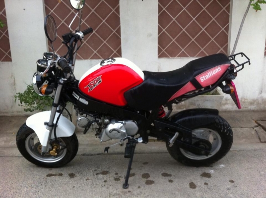 Stallion Mini Solo 125 cc สวย วิ่งน้อย ดีไซน์สวย