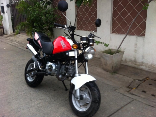 Stallion Mini Solo 125 cc สวย วิ่งน้อย ดีไซน์สวย