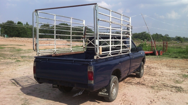 ขายนิสสันตอนเดียวพร้อมลุยราคาเบาๆครับ ขายนิสสันตอนเดียวพร้อมลุยราคาเบาๆครับ