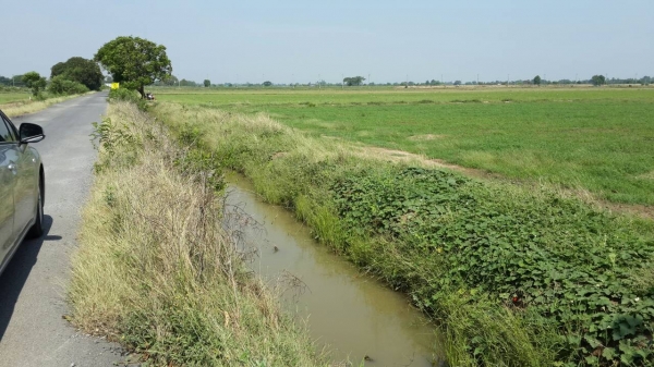 ที่ดิน สวย ๆ ติดคลอง มีน้ำ ติดถนนดำ เดินทางสะดวก น้ำไม่ท่วม ไร่ละ 350,000 ขาย 9 ไร่ ด่วน !!!! ที่ดิน สวย ๆ ติดคลอง มีน้ำ ติดถนนดำ เดินทางสะดวก น้ำไม่ท่วม ไร่ละ 350,000 ขาย 9 ไร่ ด่วน !!!!