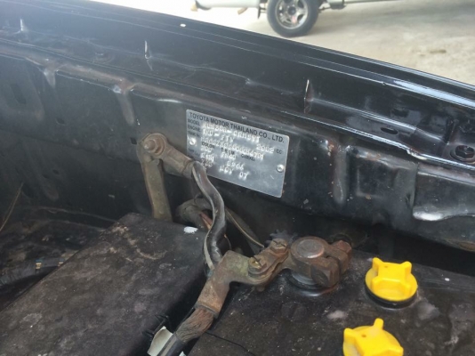 ขายพรีรันเนอร์สวยๆ พร้อมใช้งานราคาเบาๆ เอาไปทำกำไรต่อครับ ขายพรีรันเนอร์สวยๆ พร้อมใช้งานราคาเบาๆ เอาไปทำกำไรต่อครับ