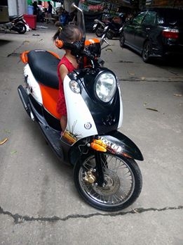 ขายไม่แพง fino ท่ออาร์มเดิมๆ ปี2553รถบ้านราคาประหยัด เล่มเอกสารครบ ขายไม่แพง fino ท่ออาร์มเดิมๆ ปี2553รถบ้านราคาประหยัด เล่มเอกสารครบ