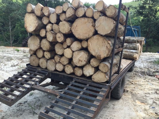 6 ล้อท้ายลาด 85 แรง TOYOTA BU30 ปี2534 ไดน่า รถดีมาก เดิมๆ รถเต็ม เล่มทะเบียนพร้อม