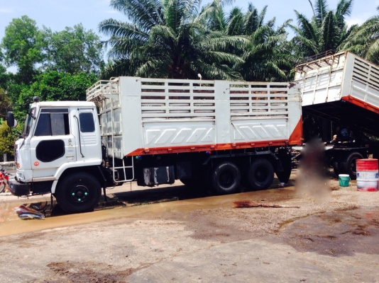 รถนิสสัน 10 ล้อดั้ม  290  แรงม้า.  ( ขายแม่ / ลูก. )   สนใจติดต่อ  081 - 6079515