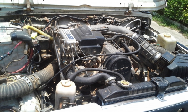 ขาย SUZUKI CARIBIAN ตู้ปลา(ปิดการขาย) ขาย SUZUKI CARIBIAN ตู้ปลา(ปิดการขาย)