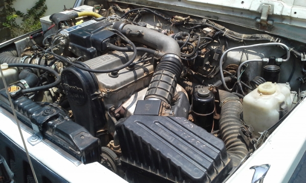 ขาย SUZUKI CARIBIAN ตู้ปลา(ปิดการขาย) ขาย SUZUKI CARIBIAN ตู้ปลา(ปิดการขาย)