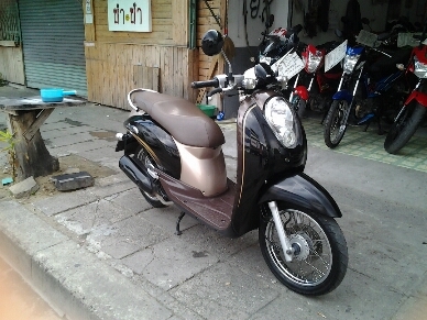 สกุบปี้iปี2553 สกุบปี้iปี2553